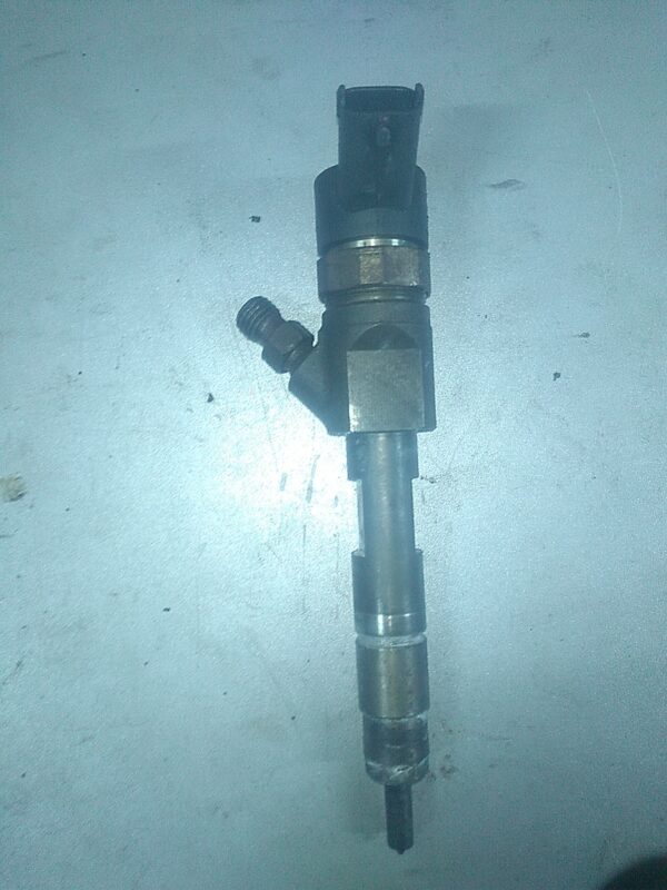 Injector, RENAULT Scenic II 1.9DCI (120 cp)