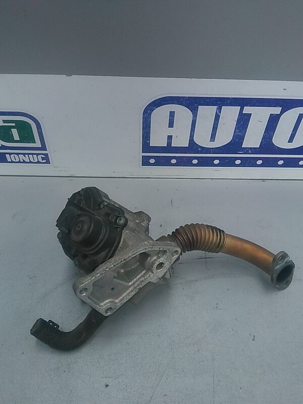 Supapa EGR, VOLKSWAGEN Golf V 1K 2003-2010, 1.6 FSI