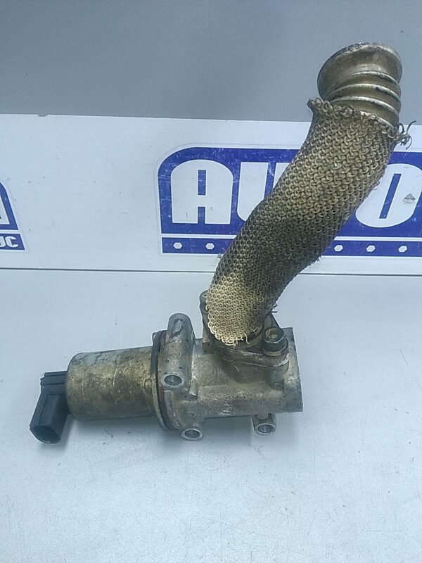 Supapa EGR, FIAT Punto II 1999-2010, 1.9 JTD (80 cp)
