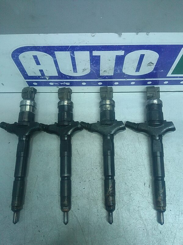 Injector RENAULT Vel Satis 2001-2009 3.0 DCI (180cp)