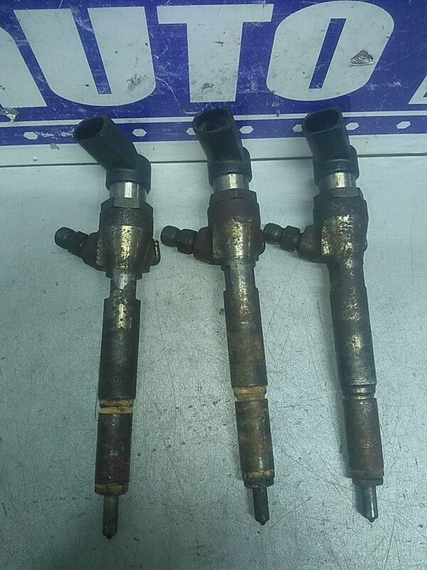 Injector RENAULT Scenic II 2003-2009 1.5 DCI (101cp)