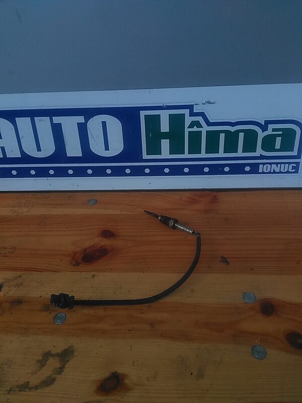 Sonda temperatura gaze BMW Seria V F10 2.0 D 2010-2014