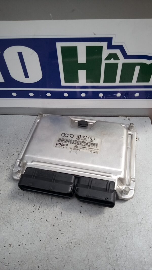 Calculator motor AUDI A4 B6 2.5 TDI 2000-2005