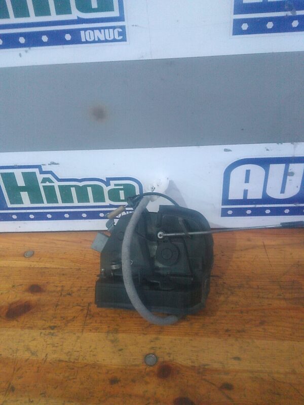 Broasca usa stanga spate BMW X5 E53 1999-2006