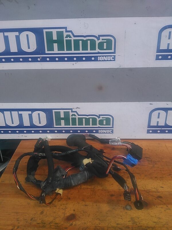 Instalatie electrica usa dreapta fata RENAULT Master 3 2010-2020