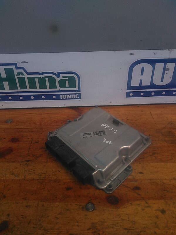 Calculator motor PEUGEOT 307 2001-2011 2.0 HDI