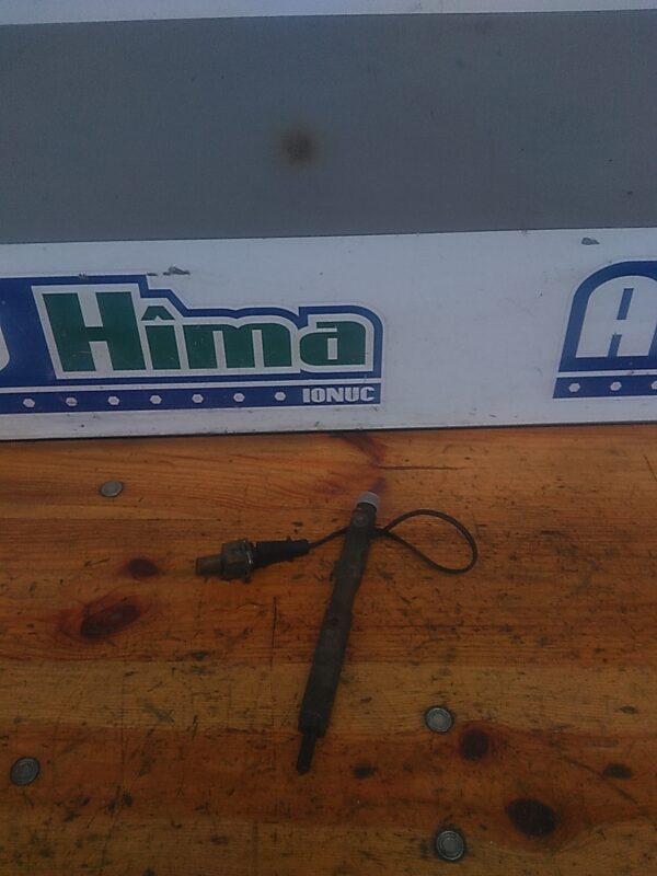 Injector cu fir LAND ROVER Freelander 1 L314 1998-2006 2.0 D