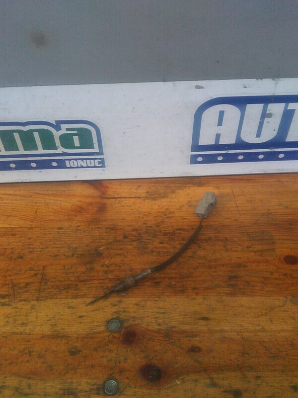 Sonda temperatura gaze TOYOTA Rav IV (XA30) 2005-2013 2.2 D