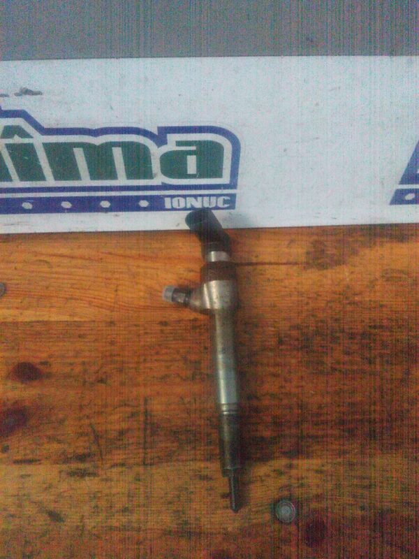 Injector RENAULT Megane II 2002-2009 1.5 DCI