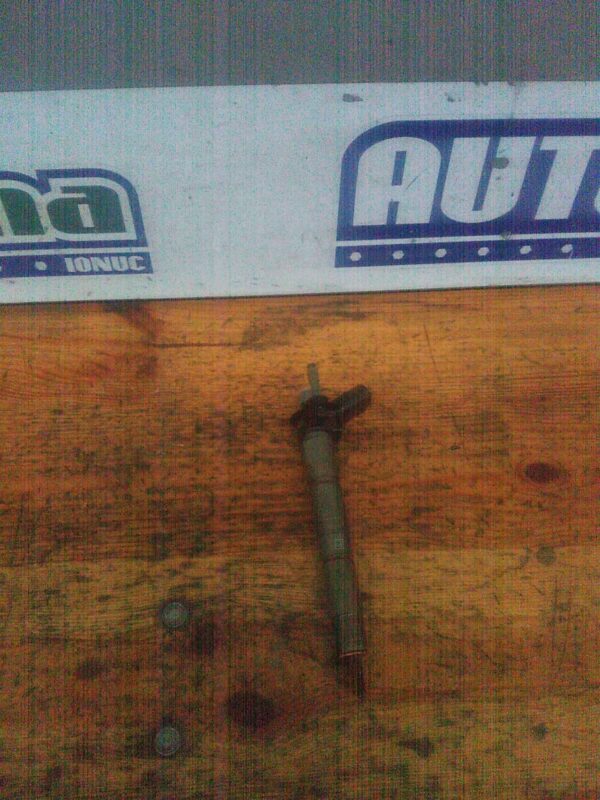 Injector BMW Seria III E92 Coupe 2006-2013 3.0 D