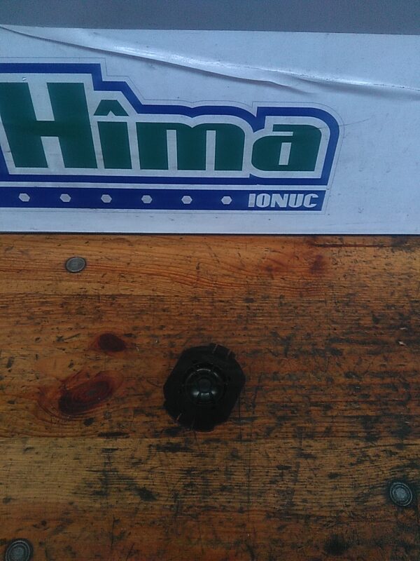 Tweeter BOSE  281480008R / 28148 JD65A Renault