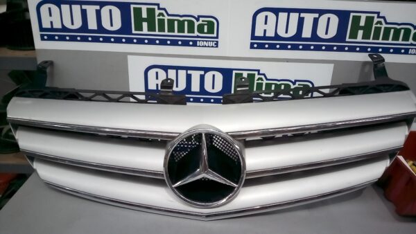 Grila radiator centrala A2518880423 Mercedes-Benz R-CLASS (W251  V251)  2005-2014
