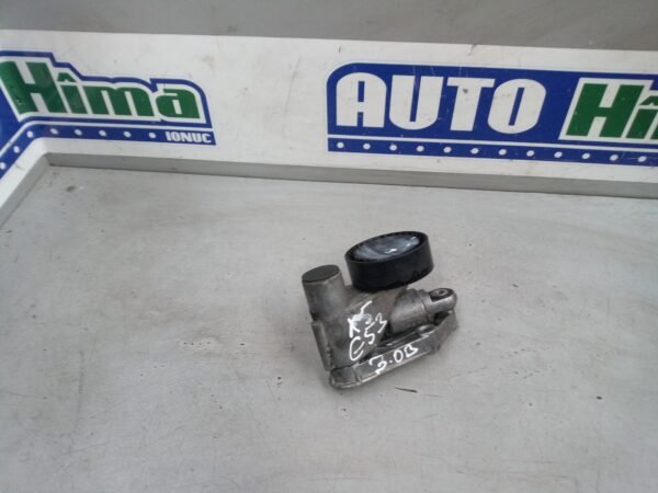 Intinzator curea accesorii motor F231288 / 2.0B-3.0B BMW X5 E53  1999-2006