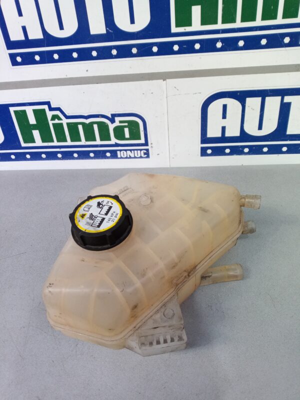 Vas expansiune BSG 30-550-010 Ford Ecosport 2013-2024