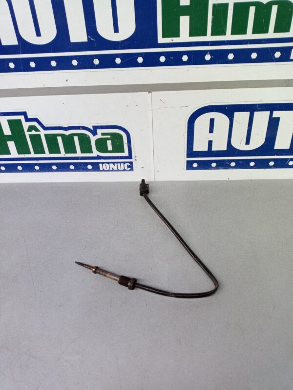 Sonda temperatura gaze 7805606 3.0 D BMW Seria 3 E90  2004-2013 3.0 D
