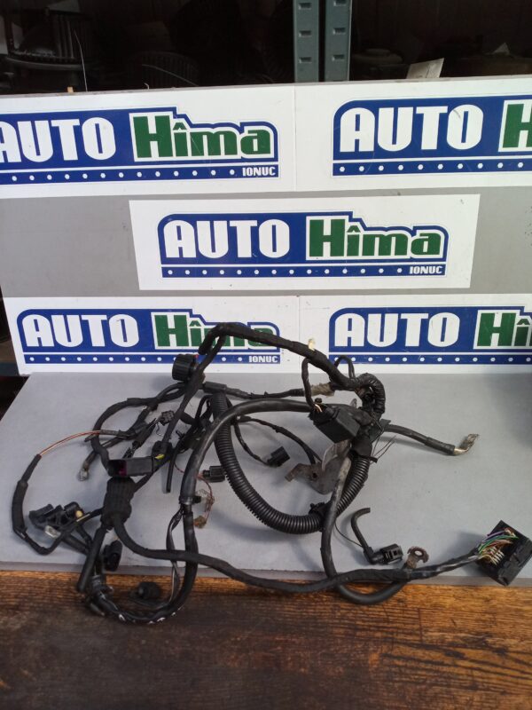 Instalatie electrica motor fara cod 1.9 TDI Volkswagen PASSAT B6  2005-2011