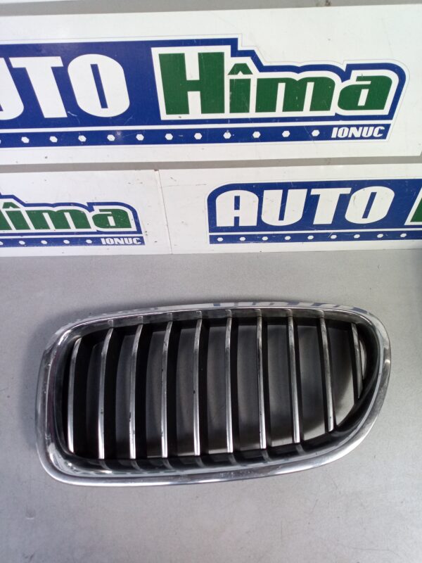 Grila radiator stanga 7336477 BMW Seria 5 F10  2010-2014
