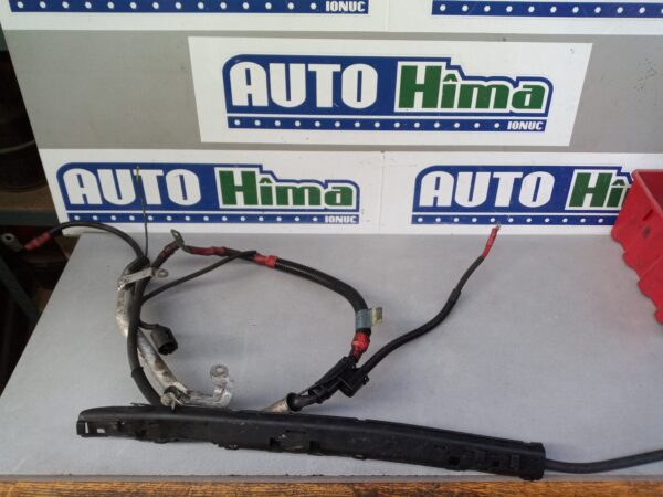 Cablaje motor 12423440097 2.0 D BMW X3 E83  2003-2010 2.0 D
