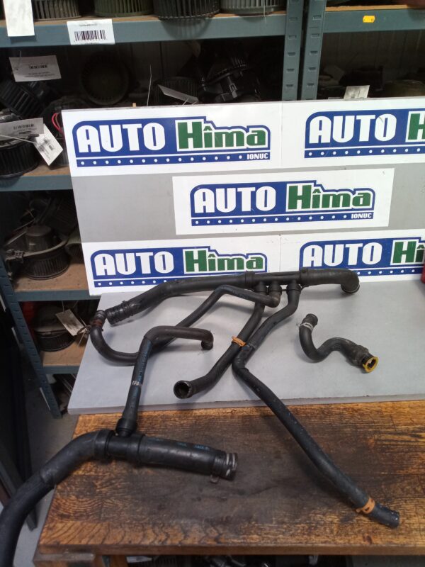 Furtune apa fara cod 1.9 DCI Renault Laguna 2  2001-2007