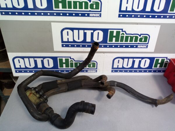 Furtune apa fara cod 1.9 DCI Renault Megane 3  2008-2016