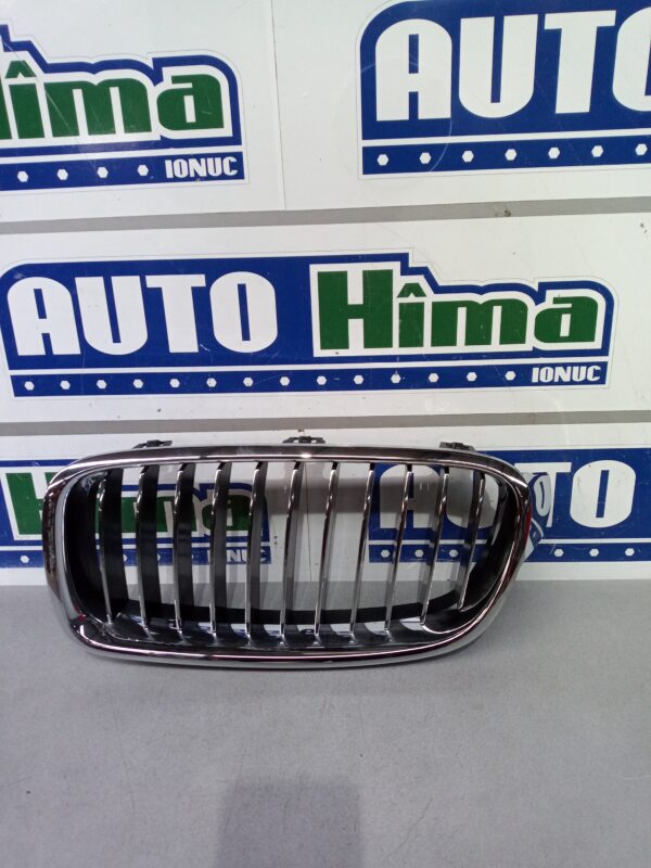 Grila radiator stanga 7295441 BMW Seria 3 F30  2011-2019