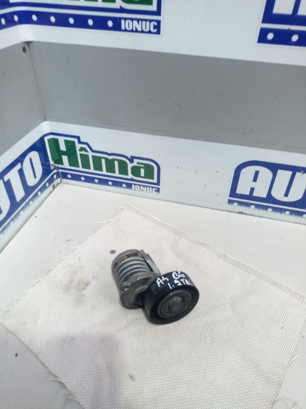 Intinzator curea accesorii motor 950330 / 1.9TDI(Aluminiu) Audi A4 B6 2000-2005