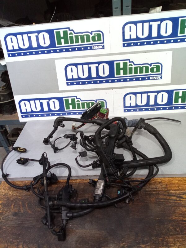 Instalatie electrica motor 780719802 2.0 D BMW Seria 5 E60  2004-2010 2.0 D