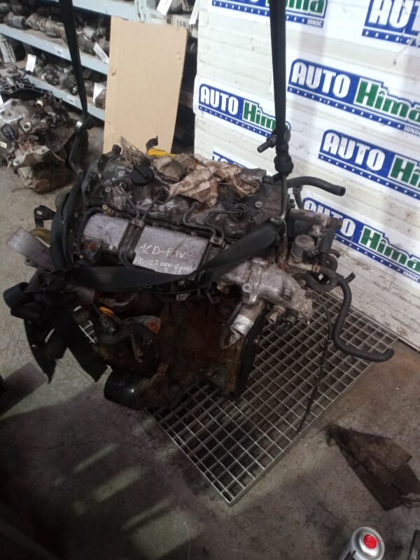 MOTOR 2.0D COD  1CD-FTV  Toyota Rav4 (XA20)  2000-2006
