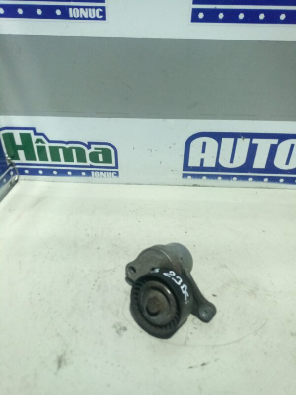 Intinzator curea accesorii motor 117507568R / 2.3DCI Renault Master 3  2010-2020 2.3DCI