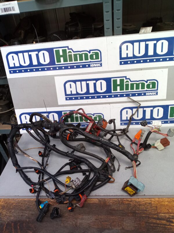 Instalatie electrica motor 8200553443 1.9 DCI Renault Scenic 2  2003-2009