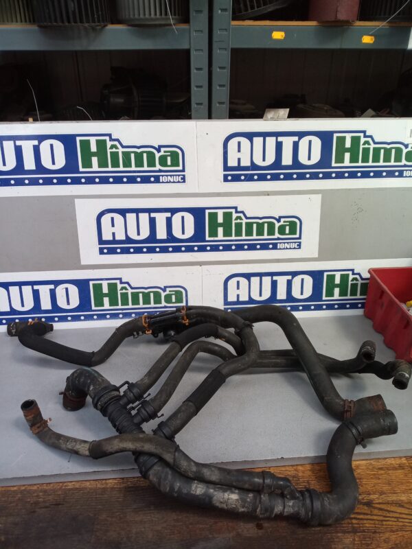 Furtune apa fara cod 1.9 DCI Renault Scenic 2  2003-2009