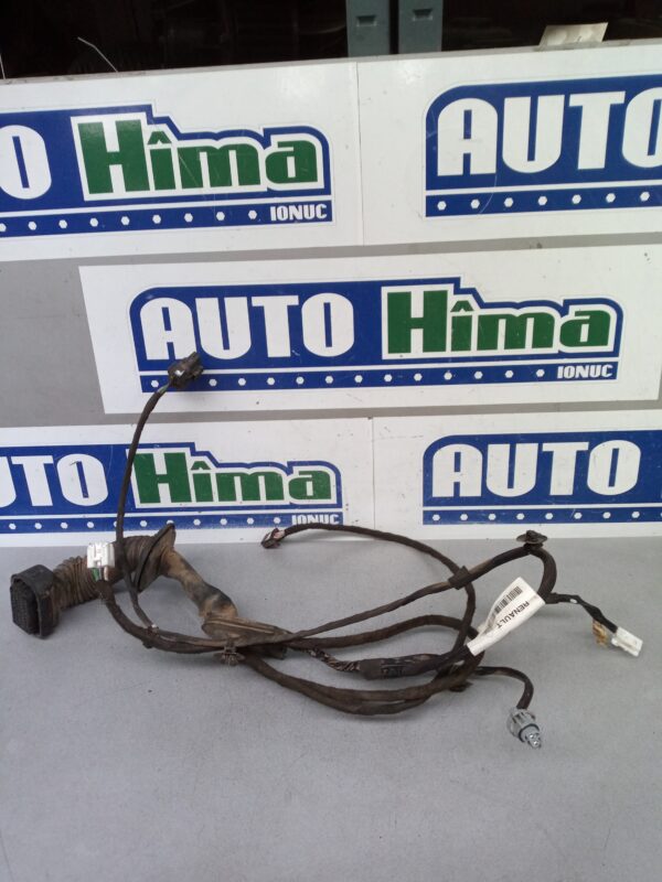 Instalatie electrica usa dreapta fata 241243046R Renault Kangoo 2  2007-2020