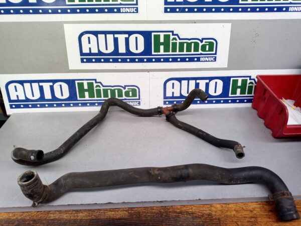 Furtune apa fara cod 1.5 DCI Renault Clio 3  2005-2012